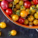 Tomato Jam Tomato Jam