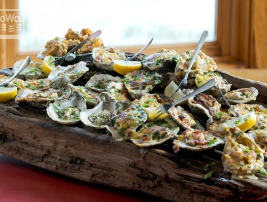 Gulf Coast BBQ Oysters