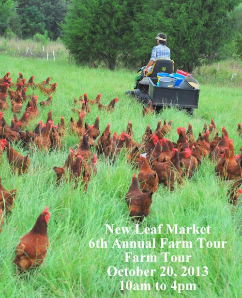 New Leaf Market Presents 6th Annual Twin Oaks Farm Tour October 20, 2013
