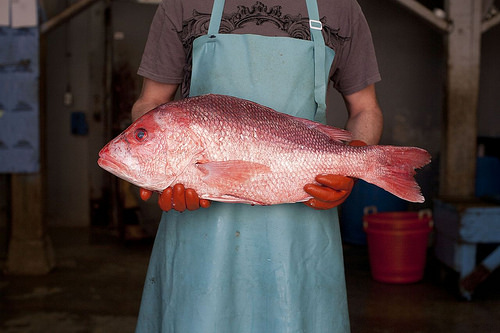 Photo: Alabama Seafood