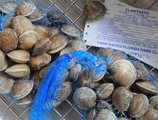 Chef Andi Bell from Boshamps Seafood & Oyster House Cooks Cedar Key Littleneck Clams at Le Creuset on March 1, 6PM & a Le Creuset 8-quart Stock Pot Giveaway!