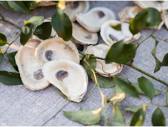 Travel: Peat & Pearls- A Celebration of Scotch + Farm Raised Oysters in Downtown Pensacola on Nov. 5 & 6