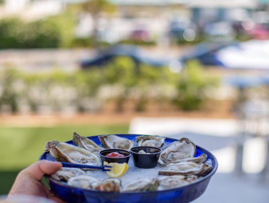 Where to Get The Best Oysters on 30A
